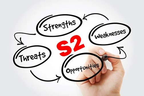 S2 SWOT – Maisterin ura